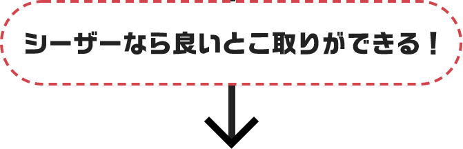 シーザーなら良いとこ取りができる！